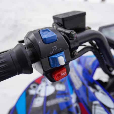 Электроквадроцикл ECO SUFA 72V150AH