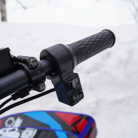 Электроквадроцикл ECO SUFA 72V150AH