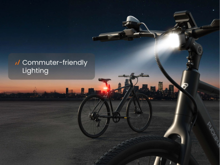 Электровелосипед PUCKIPUPPY Doberman черный