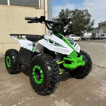 Электроквадроцикл ECO Lizard 48V30AH