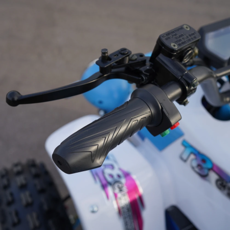 Электроквадроцикл ECO Monster TRUCK 60V32AH