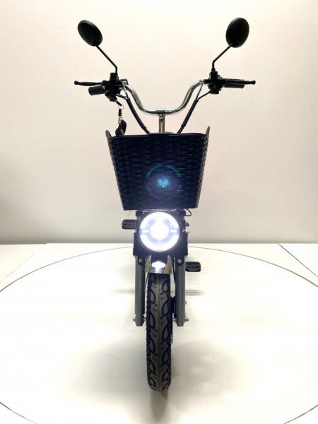 Электровелосипед GreenCamel Транк Монстр PRO (R16FAT 800W 60V20Ah) гидравл. тормоз