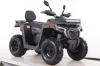 Бензиновый квадроцикл MOTAX GRIZLIK T250 BASIC красный