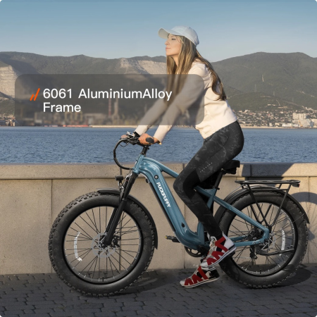 Электровелосипед PUCKIPUPPI BEAGLE серый